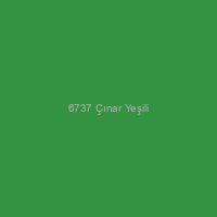 6737 Çınar Yeşili